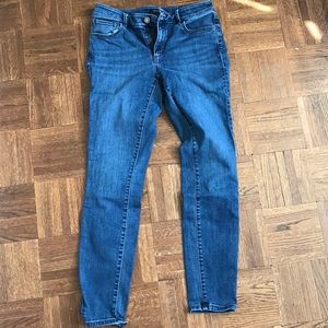 Ann Taylor Skinny Jeans